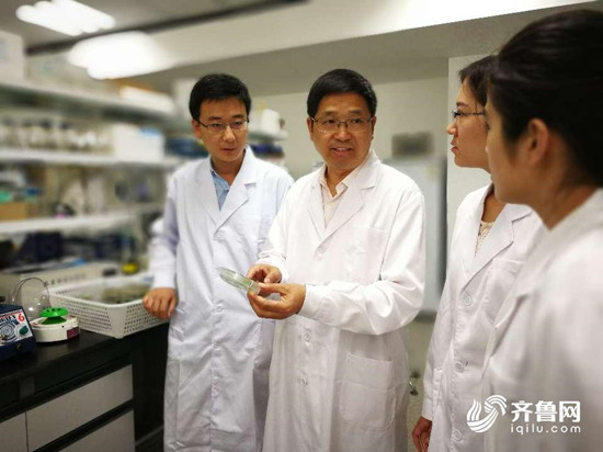 山東農(nóng)業(yè)大學(xué)揭示激素調(diào)控植物干細(xì)胞機(jī)理