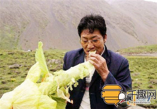 塔黃：植物界長(zhǎng)得像大白菜的“九層妖塔”