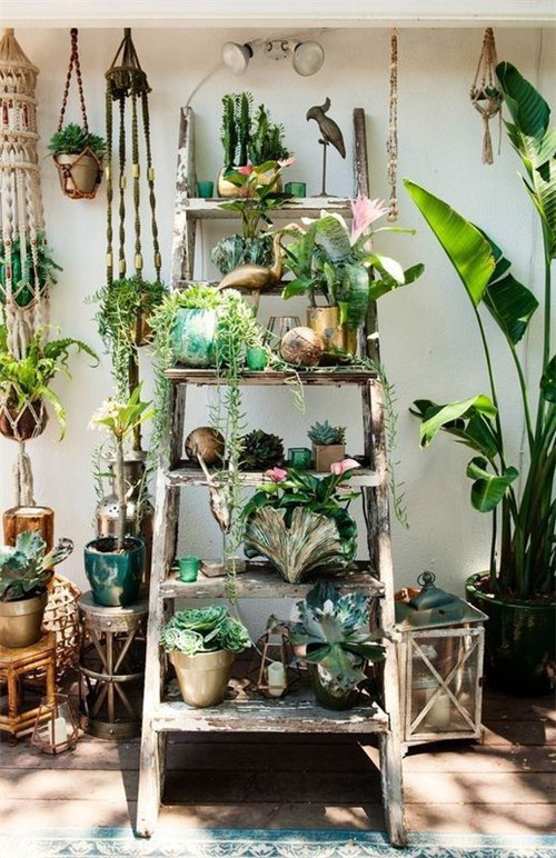 植物造景：如何布置你的陽臺？