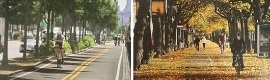街道設(shè)計可以讓生活更健康