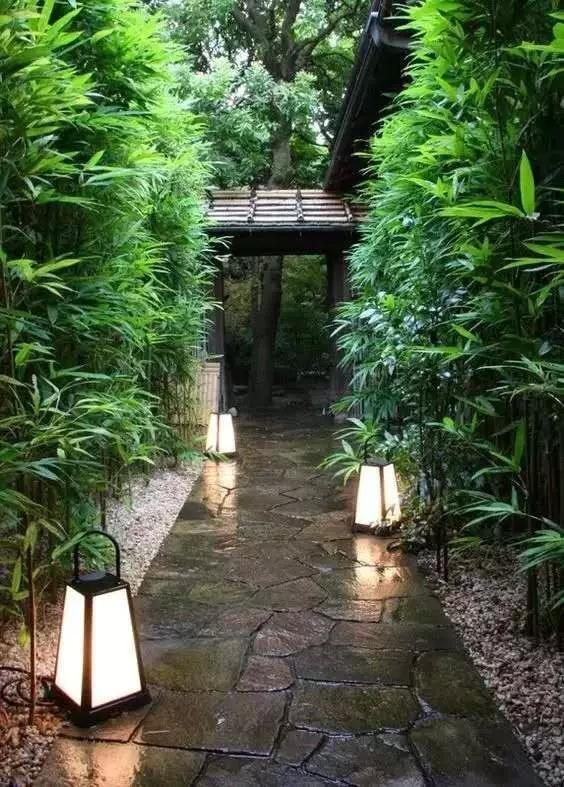 一起走進庭院綠籬的世界