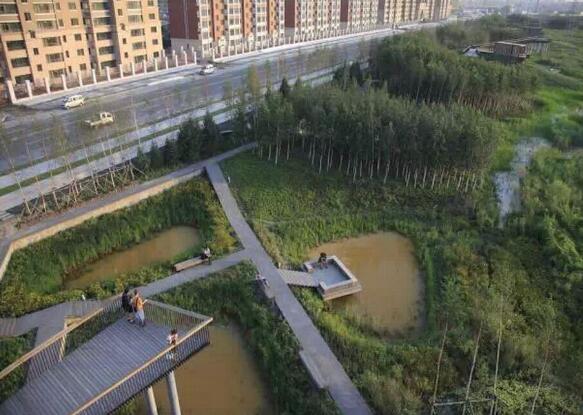 雨水花園在海綿城市建設(shè)中的意義