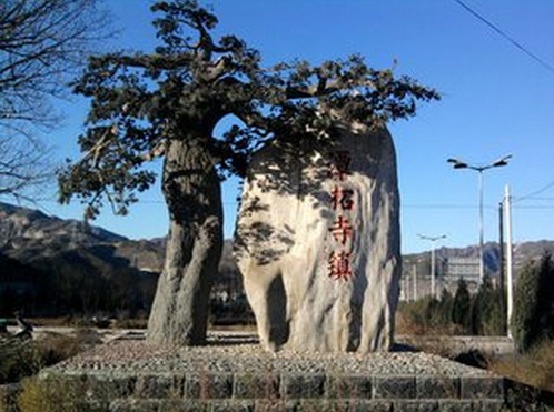 原創丨特色小鎮，究竟該如何建？