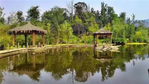 重慶最美五大濕地公園