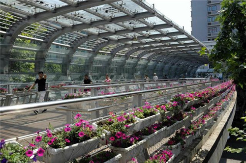 陜西西安打造靚麗新北城 市民點贊立體綠化