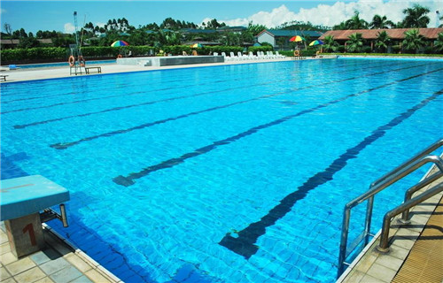 Natural swimming pool　打造夏日生態泳池