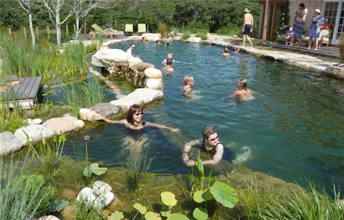 Natural swimming pool　打造夏日生態泳池