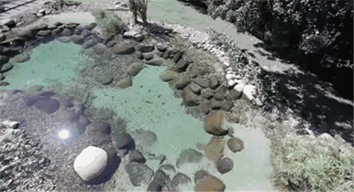 Natural swimming pool　打造夏日生態泳池