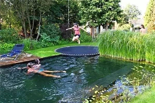 Natural swimming pool　打造夏日生態泳池