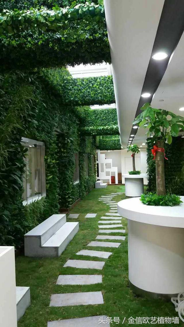 植物墻如何給城市降溫，遏制熱島效應(yīng)呢？