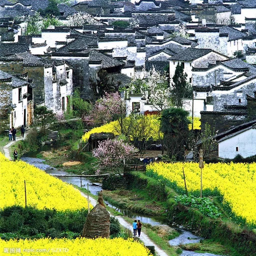 別讓大量興起的旅游建筑破壞了鄉(xiāng)村景觀