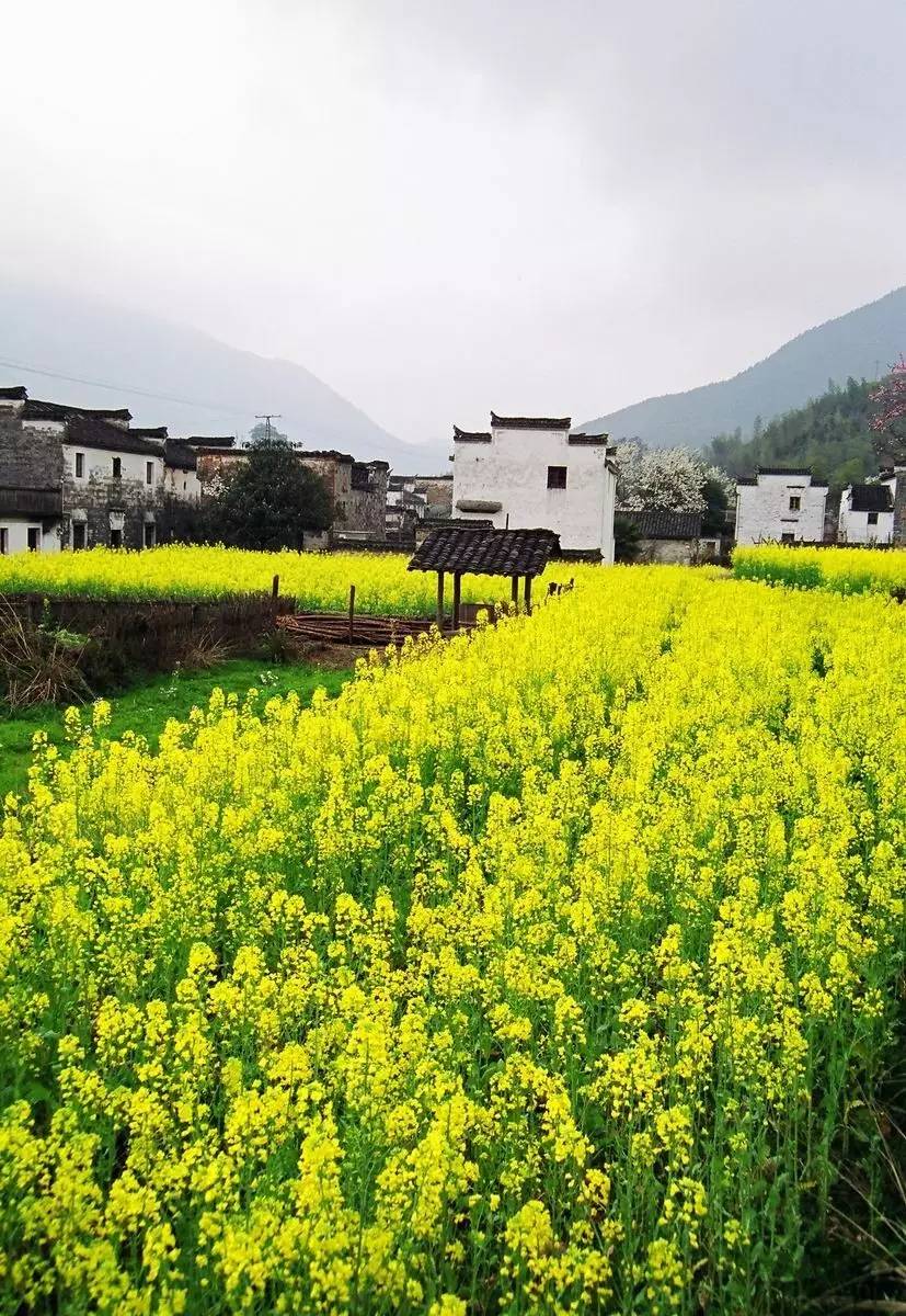 別讓大量興起的旅游建筑破壞了鄉村景觀