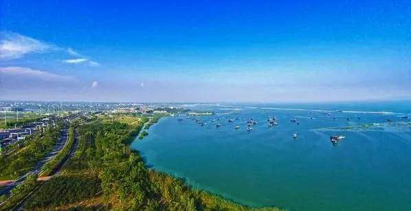 合肥濱湖國家森林公園4A景區(qū)對市民開放