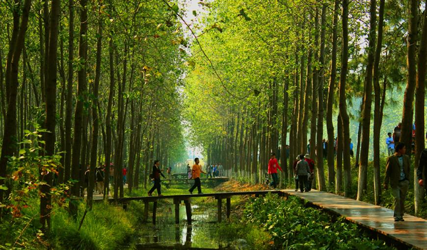 合肥濱湖國家森林公園4A景區(qū)對市民開放