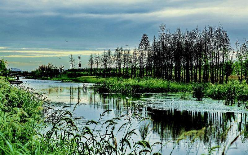 合肥濱湖國家森林公園4A景區(qū)對市民開放
