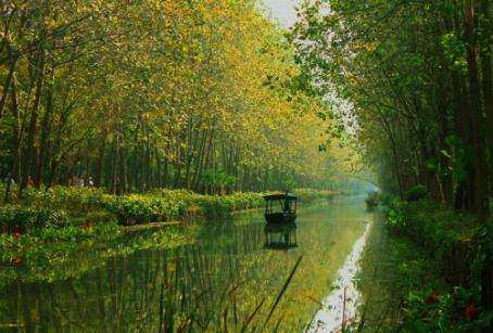 合肥濱湖國家森林公園4A景區(qū)對市民開放