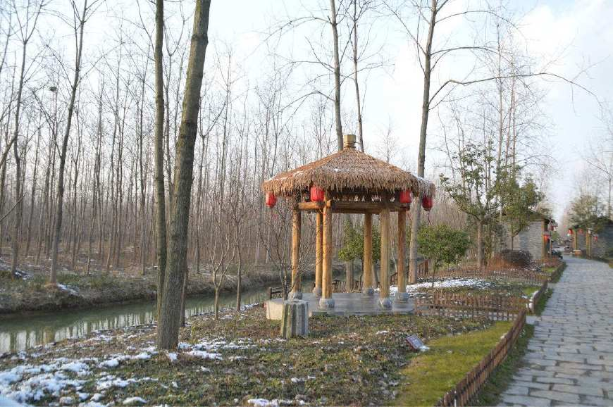 合肥濱湖國家森林公園4A景區(qū)對市民開放