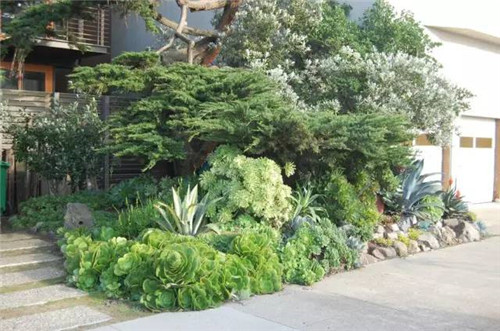 精美絕倫的多肉植物園林景觀美不勝收！