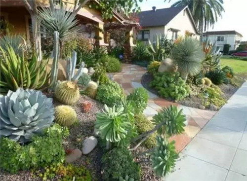 精美絕倫的多肉植物園林景觀美不勝收！