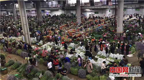 走進云南昆明 探訪亞洲最大的花卉交易市場斗南花市