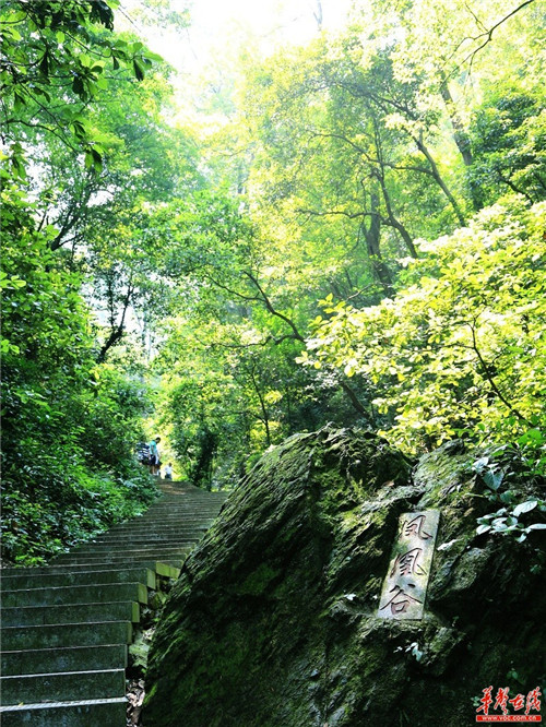 湖南衡南岐山森林公園晉升國家級森林公園