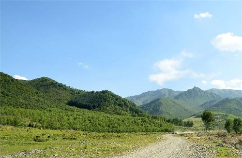 青海最美森林公園