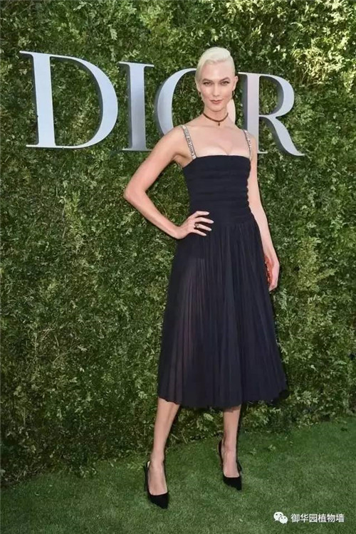 Dior70周年展，植物墻又出風頭了！