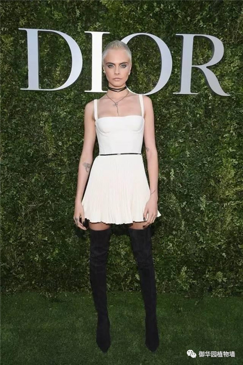 Dior70周年展，植物墻又出風頭了！