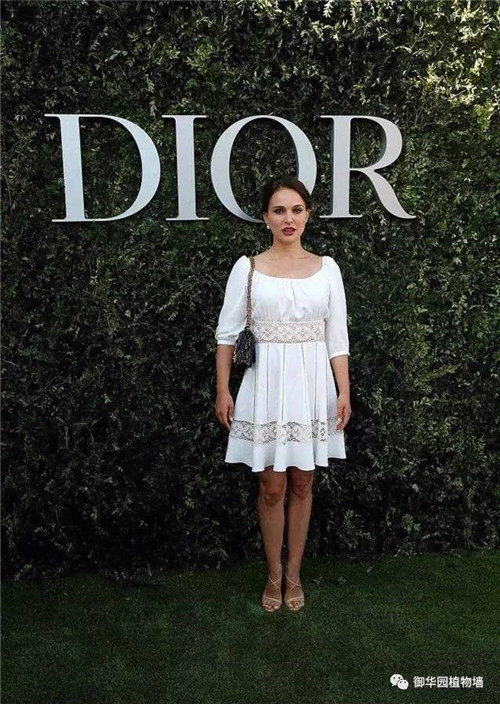 Dior70周年展，植物墻又出風頭了！
