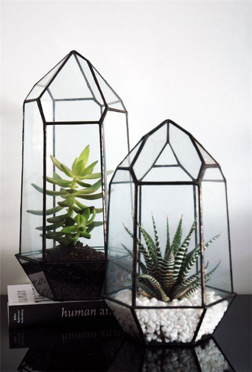 植物美學中的微景觀玻璃花房