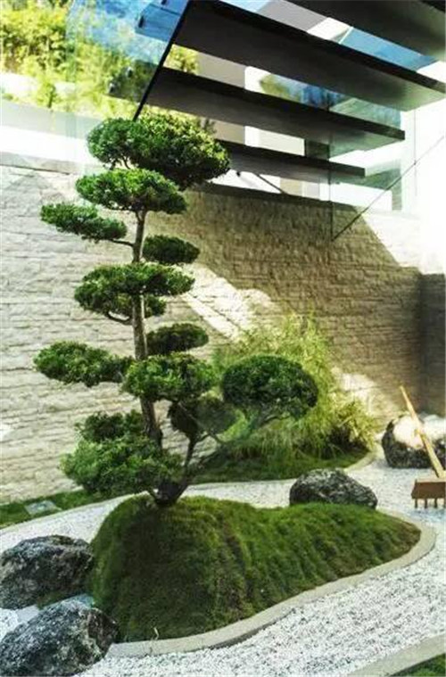 日式園林中樹(shù)的氣場(chǎng)