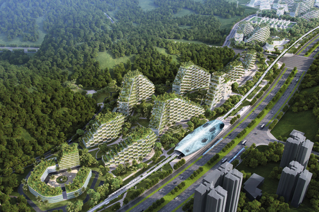 廣西將建第一座森林城市