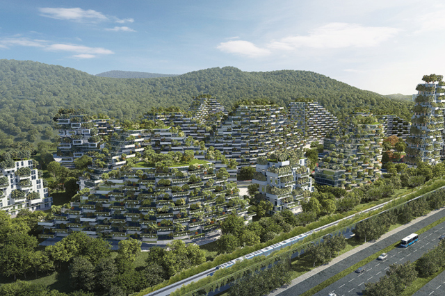 廣西將建第一座森林城市