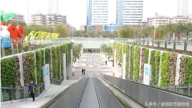為什么要大力推行城市建設(shè)立體綠化