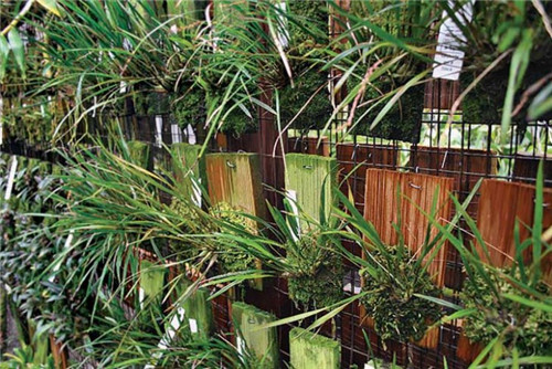 以更加自然地方式構建植物綠墻