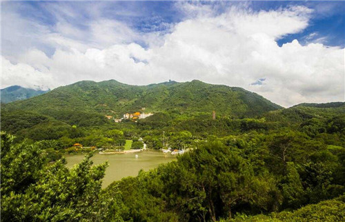 仙湖植物園是中國觀賞植物研究的重要基地