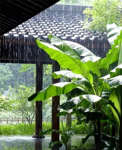 歷數七大中國古典園林植物