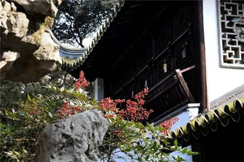 歷數(shù)七大中國(guó)古典園林植物