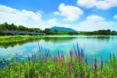 合肥高新區：蜀峰灣等公園增設景觀燈飾