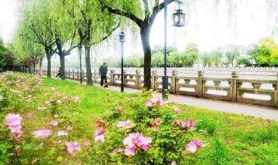 揚州規劃歷史城市大公園體系 推新設計概念