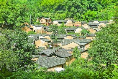 人居空間里的“綠色實踐”