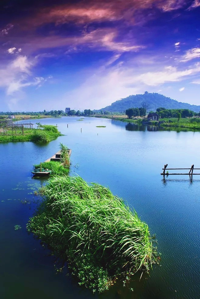 浙江美麗的濕地公園