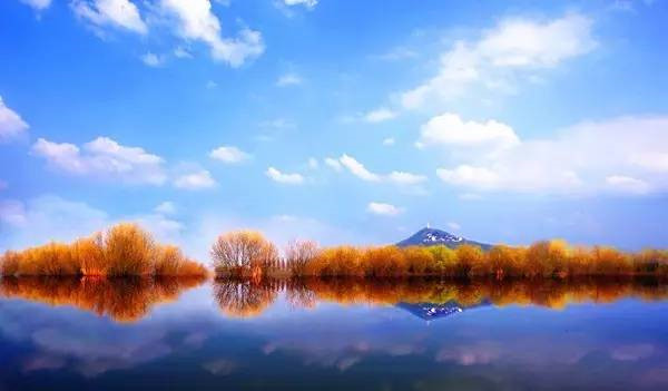 浙江美麗的濕地公園