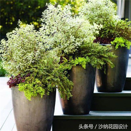 花園中精妙絕倫的插花藝術(shù)