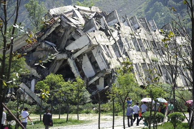 如果植物出現批量地反常，可能地震要來了