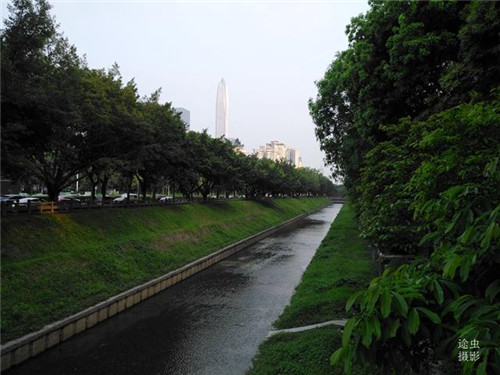 流經(jīng)深圳市區(qū)的幾條“著名”河流