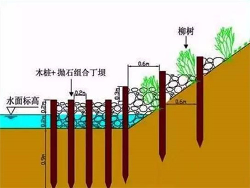 河道生態(tài)棲息地的修復(fù)設(shè)計(jì)與施工