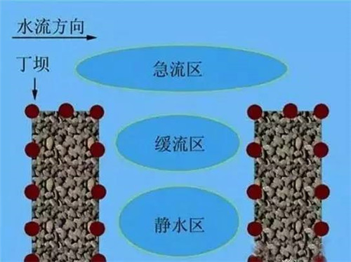 河道生態(tài)棲息地的修復(fù)設(shè)計(jì)與施工