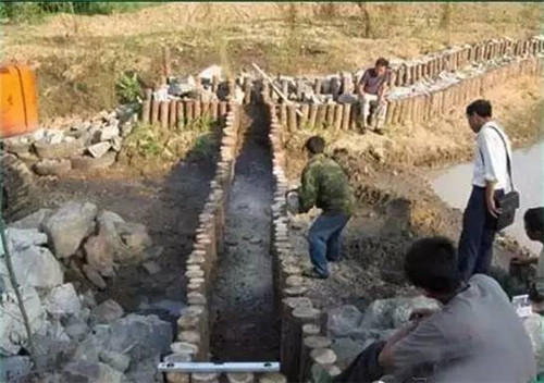 河道生態(tài)棲息地的修復(fù)設(shè)計(jì)與施工