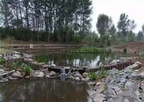 河道生態(tài)棲息地的修復設計與施工